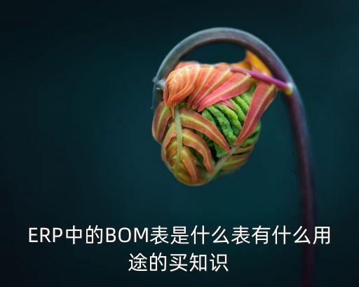 ERP中的BOM表是什么表有什么用途的買知識