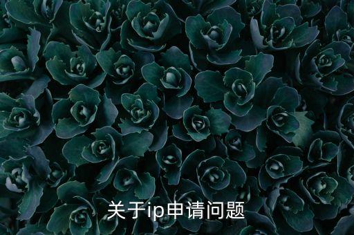 關(guān)于ip申請(qǐng)問題