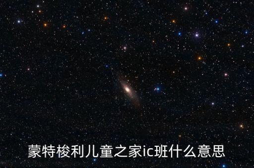 什么是ic，ICU是什么意思