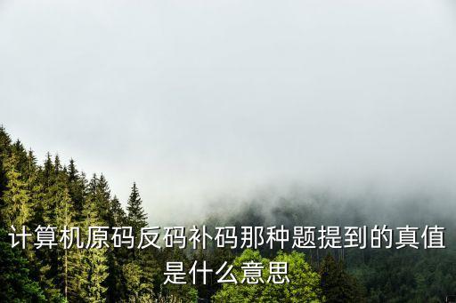 計(jì)算機(jī)原碼反碼補(bǔ)碼那種題提到的真值是什么意思