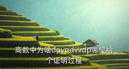 高數(shù)中為啥dpvpdvvdp哪位給個(gè)證明過程
