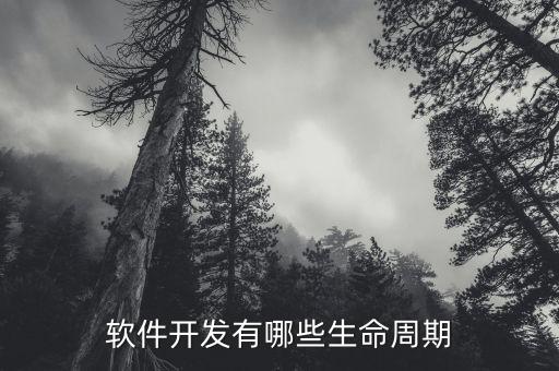 軟件開發(fā)有哪些生命周期