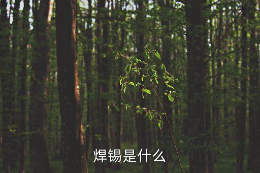 焊錫，焊錫是什么