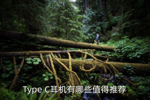 Type C耳機有哪些值得推薦