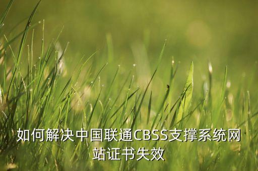 如何解決中國(guó)聯(lián)通CBSS支撐系統(tǒng)網(wǎng)站證書(shū)失效