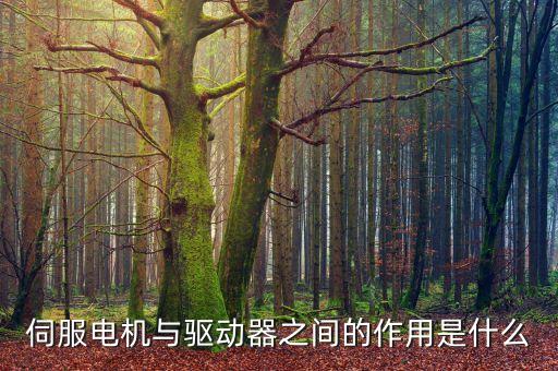 伺服電機(jī)與驅(qū)動器之間的作用是什么