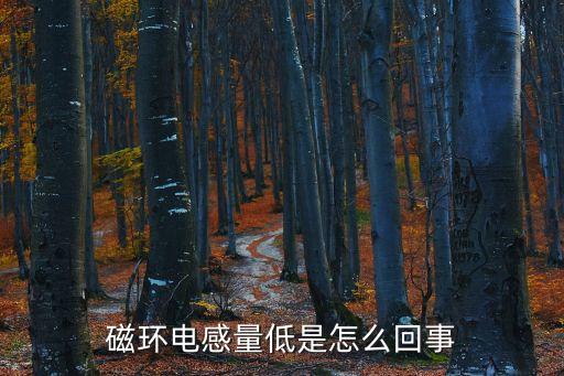 磁環(huán)電感量低是怎么回事
