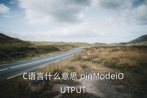 C語(yǔ)言什么意思 pinModeiOUTPUT