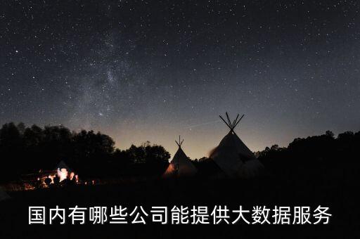 國內(nèi)有哪些公司能提供大數(shù)據(jù)服務(wù)