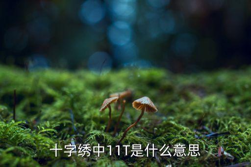 十字繡中11T是什么意思