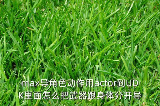 max導(dǎo)角色動(dòng)作用actor到UDK里面怎么把武器跟身體分開導(dǎo)
