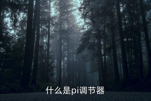 什么是pi調(diào)節(jié)器