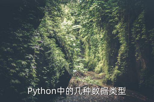 Python中的幾種數(shù)據(jù)類(lèi)型