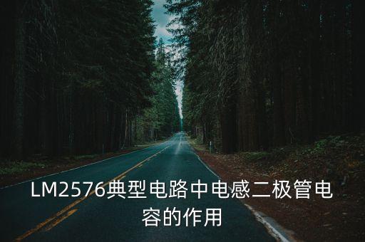 LM2576典型電路中電感二極管電容的作用