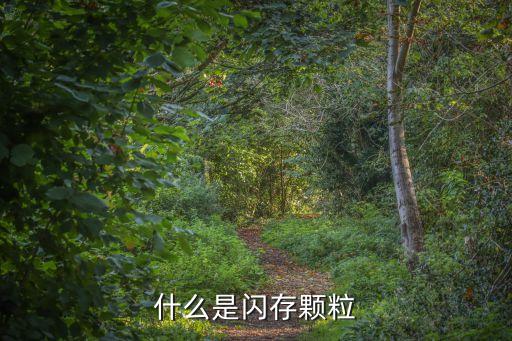 什么是閃存顆粒