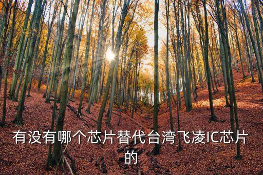有沒(méi)有哪個(gè)芯片替代臺(tái)灣飛凌IC芯片的