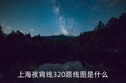 上海夜宵線320路線圖是什么