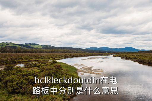 bclkleckdoutdin在電路板中分別是什么意思