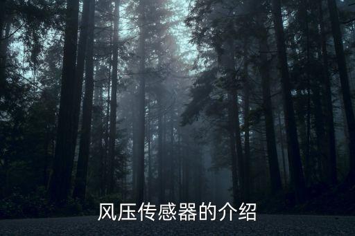 風(fēng)壓傳感器的介紹