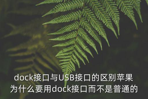 dock接口與USB接口的區(qū)別蘋果為什么要用dock接口而不是普通的