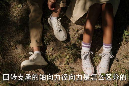 回轉(zhuǎn)支承的軸向力徑向力是怎么區(qū)分的