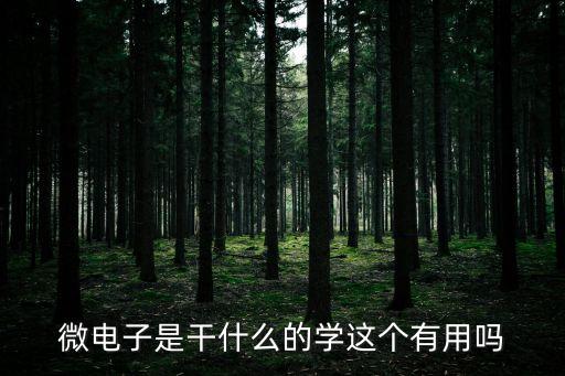 微電子，微電子是干什么的學(xué)這個(gè)有用嗎
