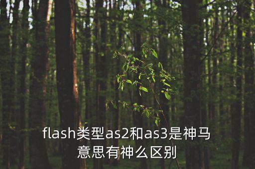 flash類型as2和as3是神馬意思有神么區(qū)別