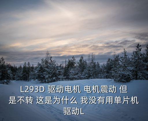 L293D 驅(qū)動電機 電機震動 但是不轉(zhuǎn) 這是為什么 我沒有用單片機驅(qū)動L