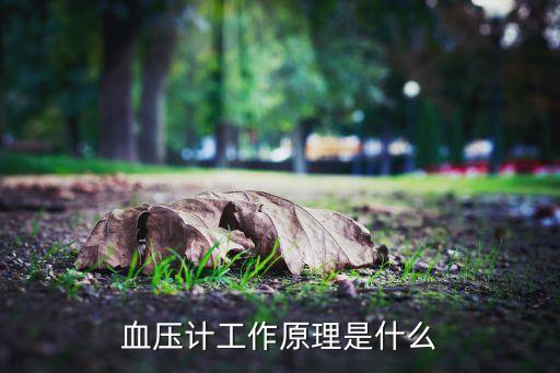 血壓計(jì)原理，血壓計(jì)是根據(jù)什么原理制成的