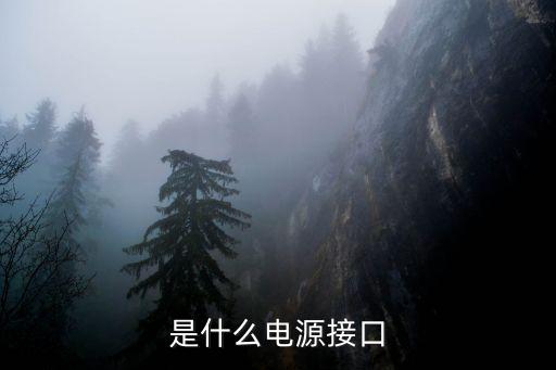是什么電源接口