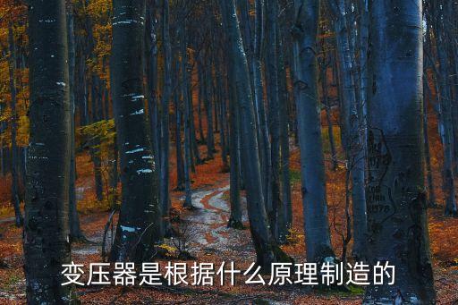 變壓器是根據(jù)什么原理制造的