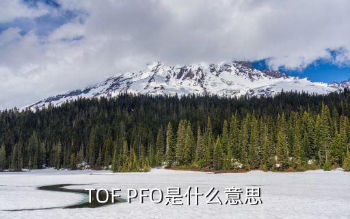 pfo，TOF PFO是什么意思