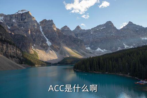 ACC是什么啊