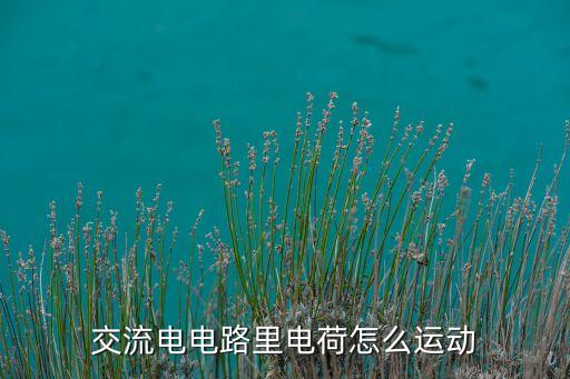 交流電電路里電荷怎么運(yùn)動(dòng)