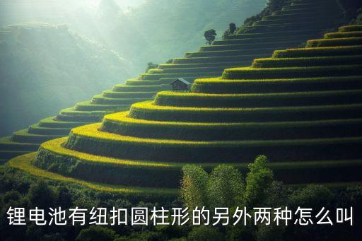 圓柱鋰電池，IFR ICR 圓柱電池 是什么的英文的簡(jiǎn)寫(xiě)