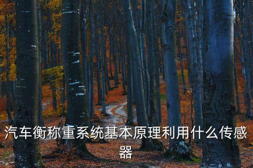 稱重傳感器原理，稱重傳感器原理概述