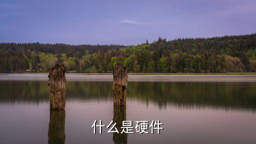 硬件，硬件是什么