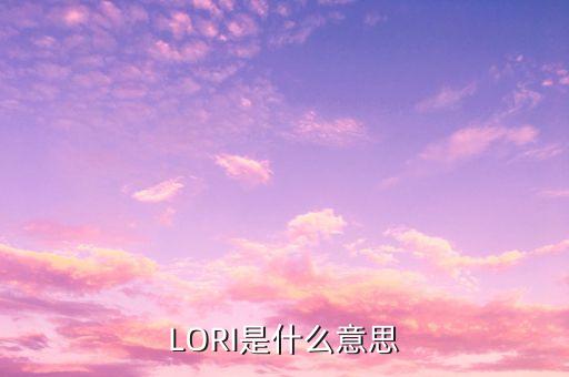 lora是什么，leader是什么意思