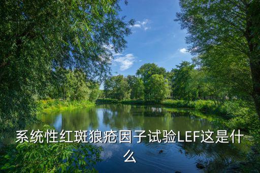 lef，lief 什么意思