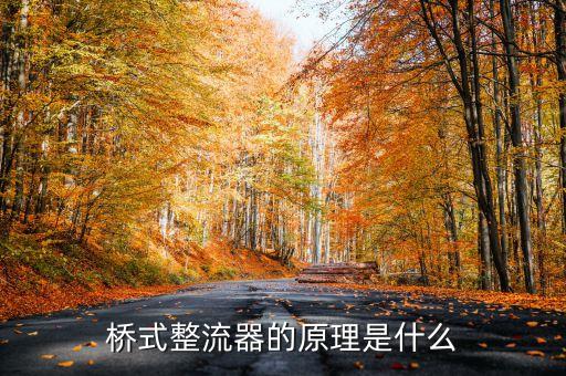 橋式整流器的原理是什么