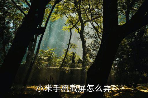 小米手機(jī)截屏怎么弄