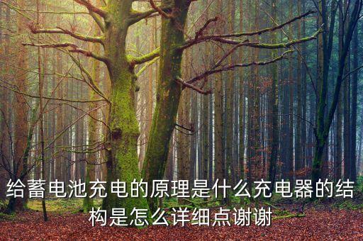 給蓄電池充電的原理是什么充電器的結(jié)構(gòu)是怎么詳細(xì)點(diǎn)謝謝