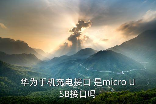 華為手機充電接口 是micro USB接口嗎
