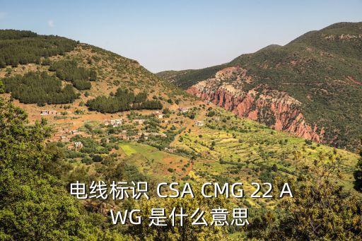 awg線規(guī)，電線標識 CSA CMG 22 AWG 是什么意思