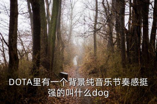 cyberdog，Cyberdog的中文意思是什么
