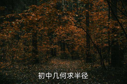 初中幾何求半徑
