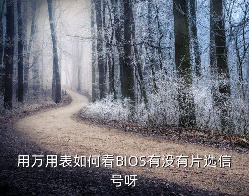 用萬用表如何看BIOS有沒有片選信號呀