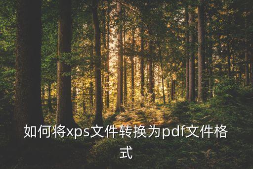 如何將xps文件轉換為pdf文件格式