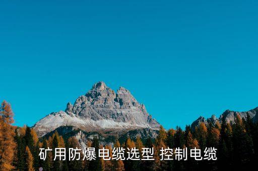礦用防爆電纜選型 控制電纜