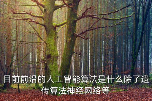 目前前沿的人工智能算法是什么除了遺傳算法神經網絡等